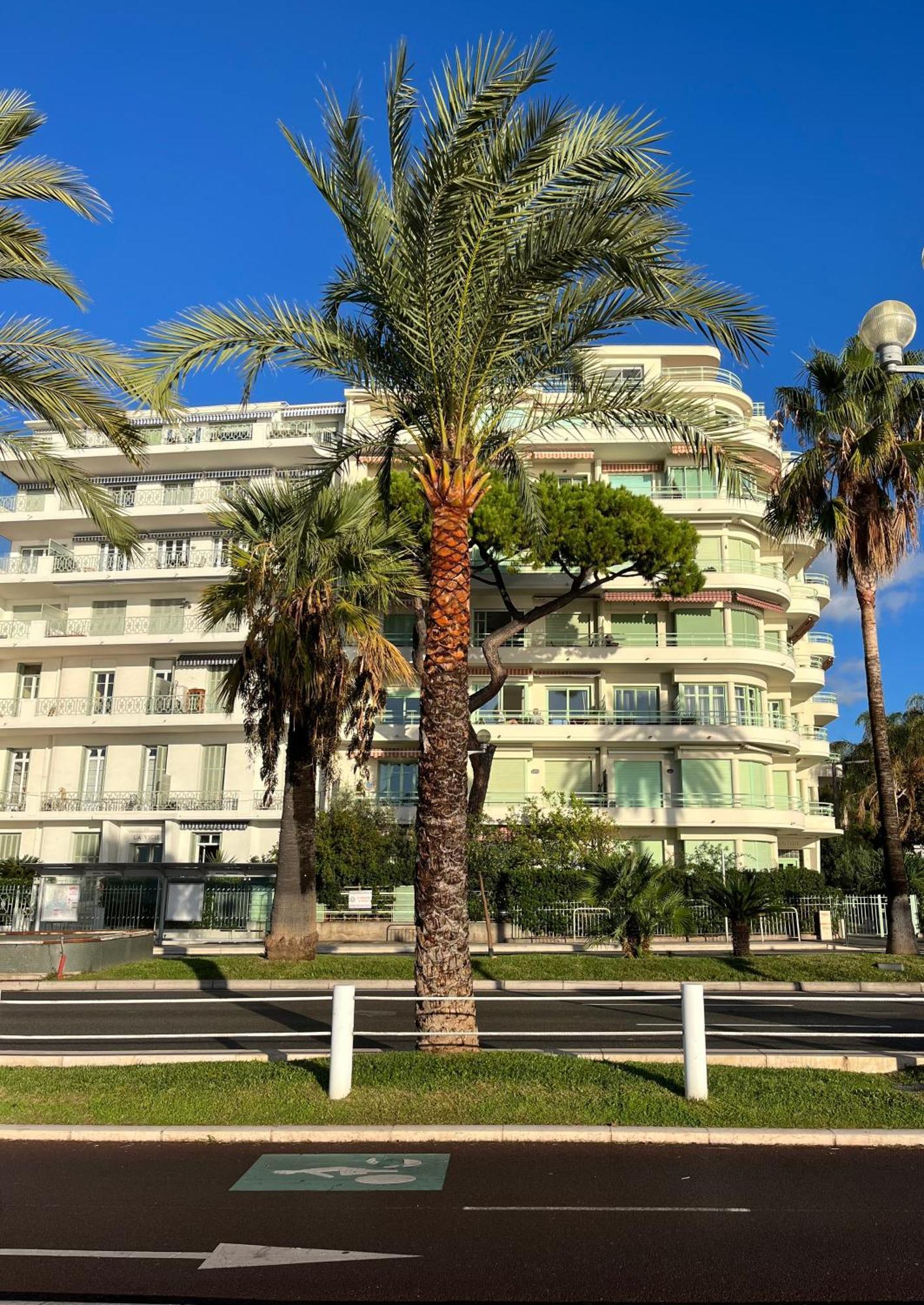 Nice 115 By The Sea Exterior foto